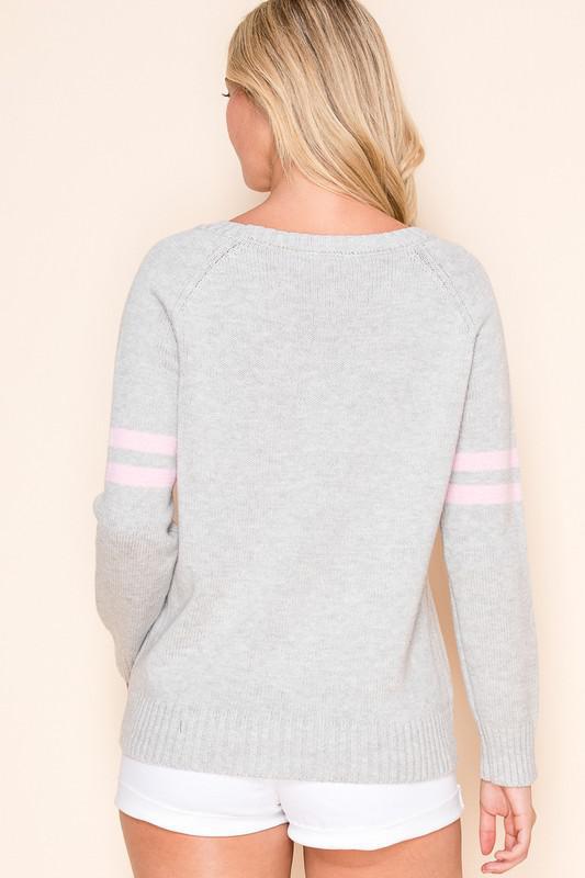 Dog Walking Sweater Top